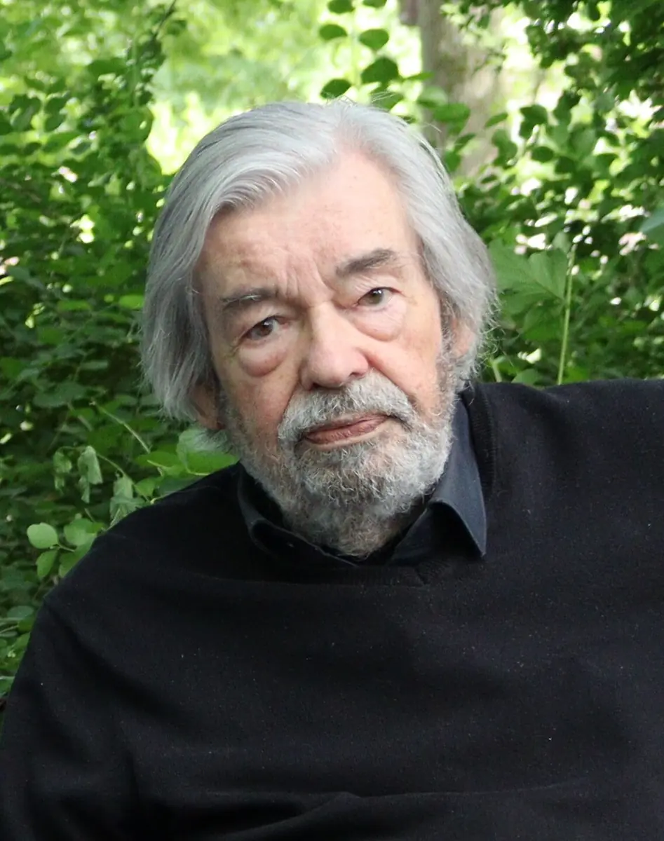 Maarten van Rossem