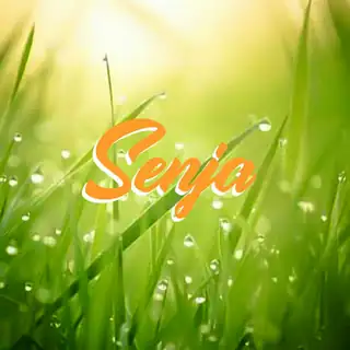 CLUBNACHT / BELLA + Senja