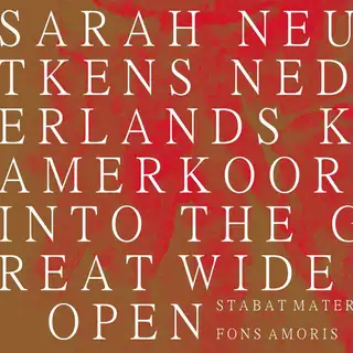 Nederlands Kamerkoor - Motetten von Bach