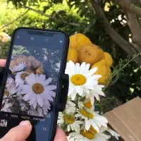 Volksuniversiteit IJmond: Fotografie met je mobiel — Vestiging Beverwijk, Beverwijk