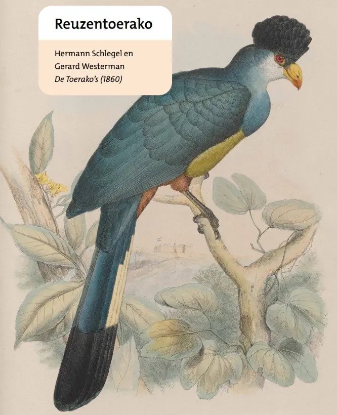 Ausstellung: Die Entdeckung der Natur — Bibliotheek Alphen-Centrum, Alphen aan den Rijn