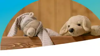 Kinderbuchwochen: Kuscheltier-Übernachtung in der Bibliothek