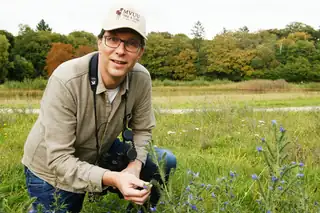 Wildbeobachtung in den Niederlanden
