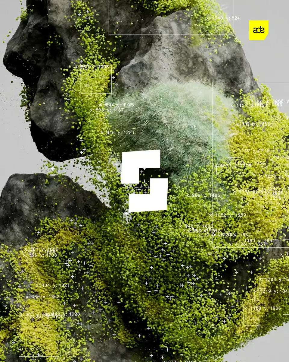 PIV — Shelter, Amsterdam