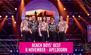 Beach Boys' Best