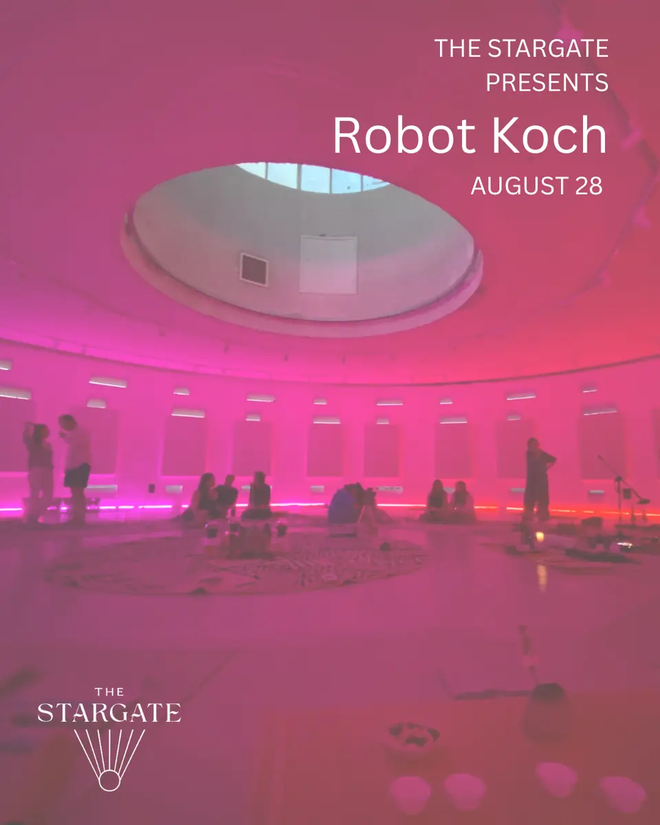 Robot Koch: Live — The Stargate, Amsterdam