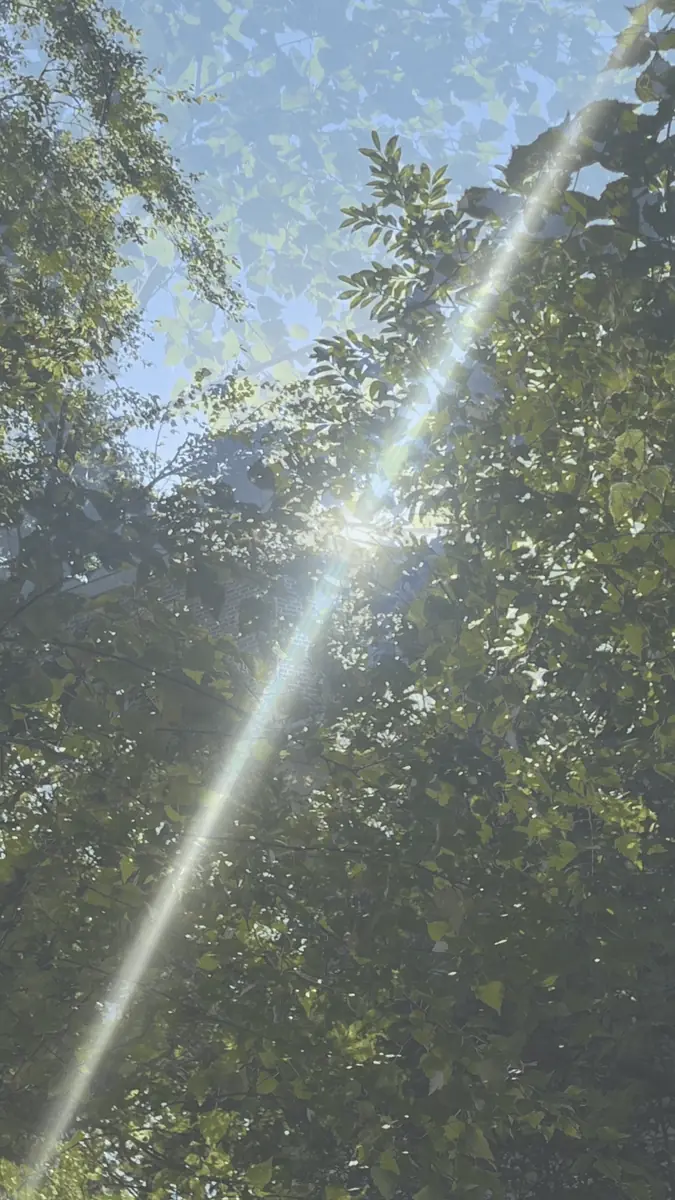afternoon interlude w/ Emilio Arias — dubble, Amsterdam