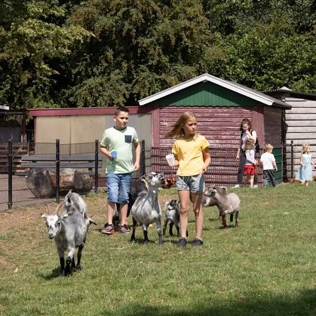 Stadsboerderij Holywood — Stadsboerderij Holywood, Vlaardingen