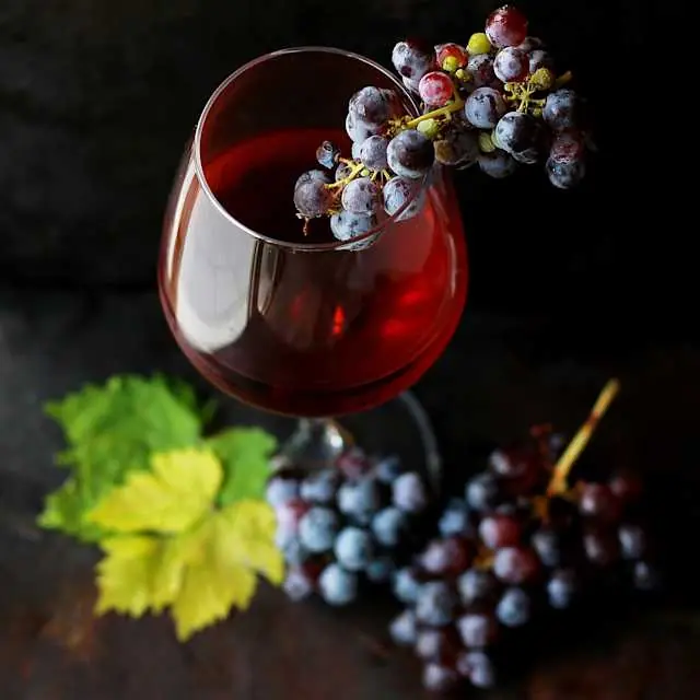 Vlaardingens Weinfestival 2026 - Ronde Tafel Vlaardingen — De Stadsgehoorzaal, Vlaardingen