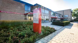 Kostenloser Grundkurs: Ein neuer Blick auf deine Gesundheit