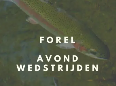 Trout Summer Evening Competition — Toms Creek Fishing Adventure, Lelystad