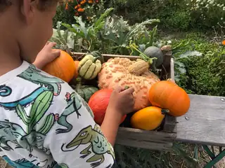 Herbstfest Pluktuin PlukWad