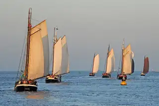 Waddenrace über das westliche Wattenmeer
