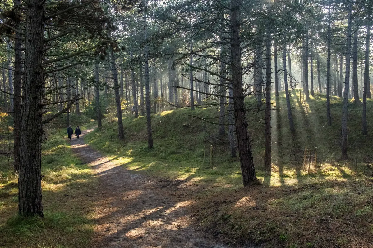 Ga op Natuurexpeditie in Westerschouwen — Boswachterij Westerschouwen, Westenschouwen