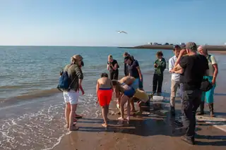 Strandexkursion: Schleppnetzfischen an der Küste