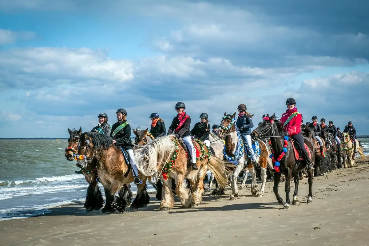 Straô Ellemeet — Strand Ellemeet, Ellemeet