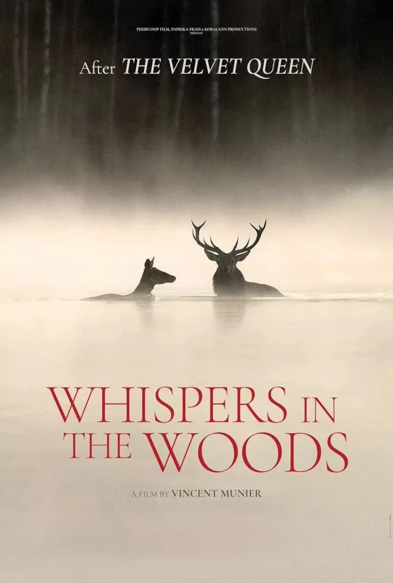 Whispers in the Woods — Filmhuis Putten, Putten