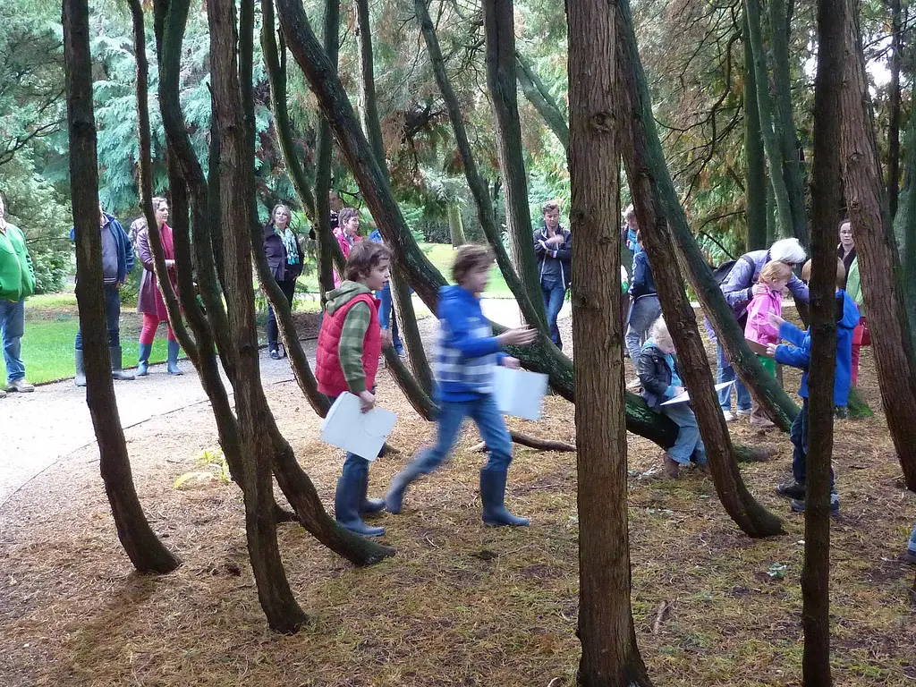 Schatzsuche im Pinetum (8+) — Pinetum Blijdenstein, Hilversum