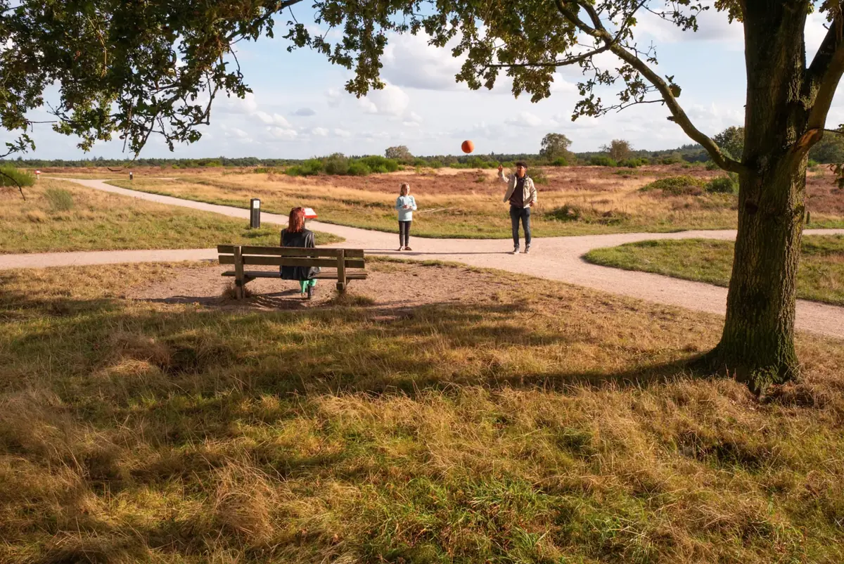 Ontdek de Hoorneboegse Heide — Hoorneboegse Heide, Hilversum