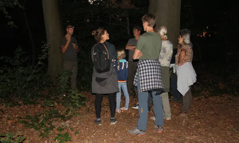 Nacht der Fledermäuse (8+) — Bezoekerscentrum Gooi en Vechtstreek, 's-Graveland