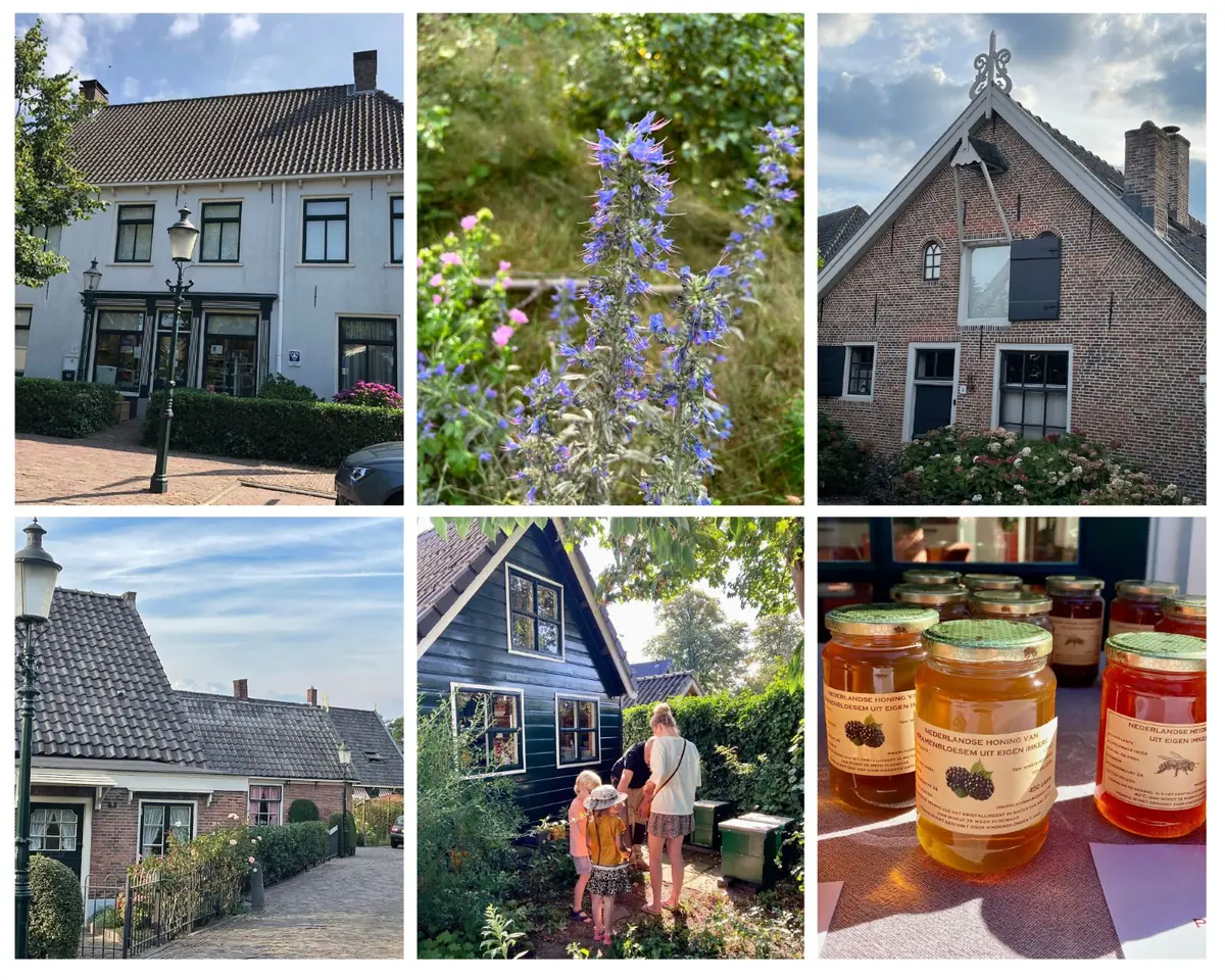 Dorpswandeling met bezoek imker — Huizer Museum, Huizen