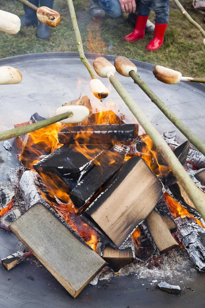 OERRR Roaming and Bread Baking — Bezoekerscentrum Gooi en Vechtstreek, 's-Graveland