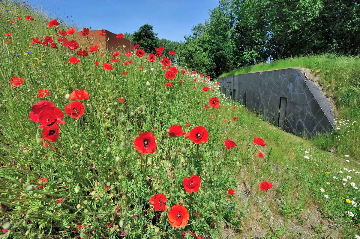 Ontdek Fort Kijkuit met de fortengids — Fort Kijkuit, Kortenhoef