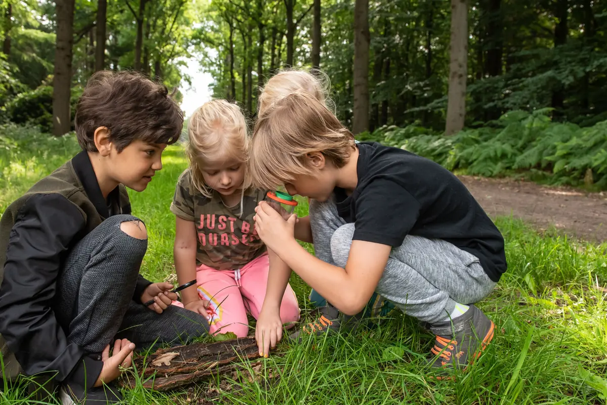 OERRR Struinen en afdrukken maken — Bezoekerscentrum Gooi en Vechtstreek, 's-Graveland