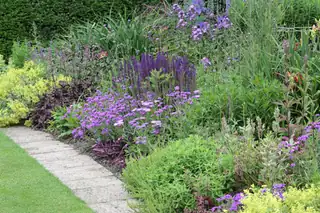 Garden Workshop | Seasonal Border