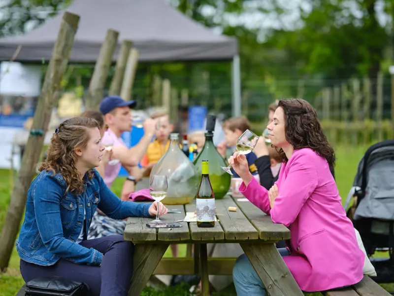 Wijnfestival SLOQ — Wijngaard Zonnestraal, Hilversum