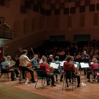 Animal Day Concert