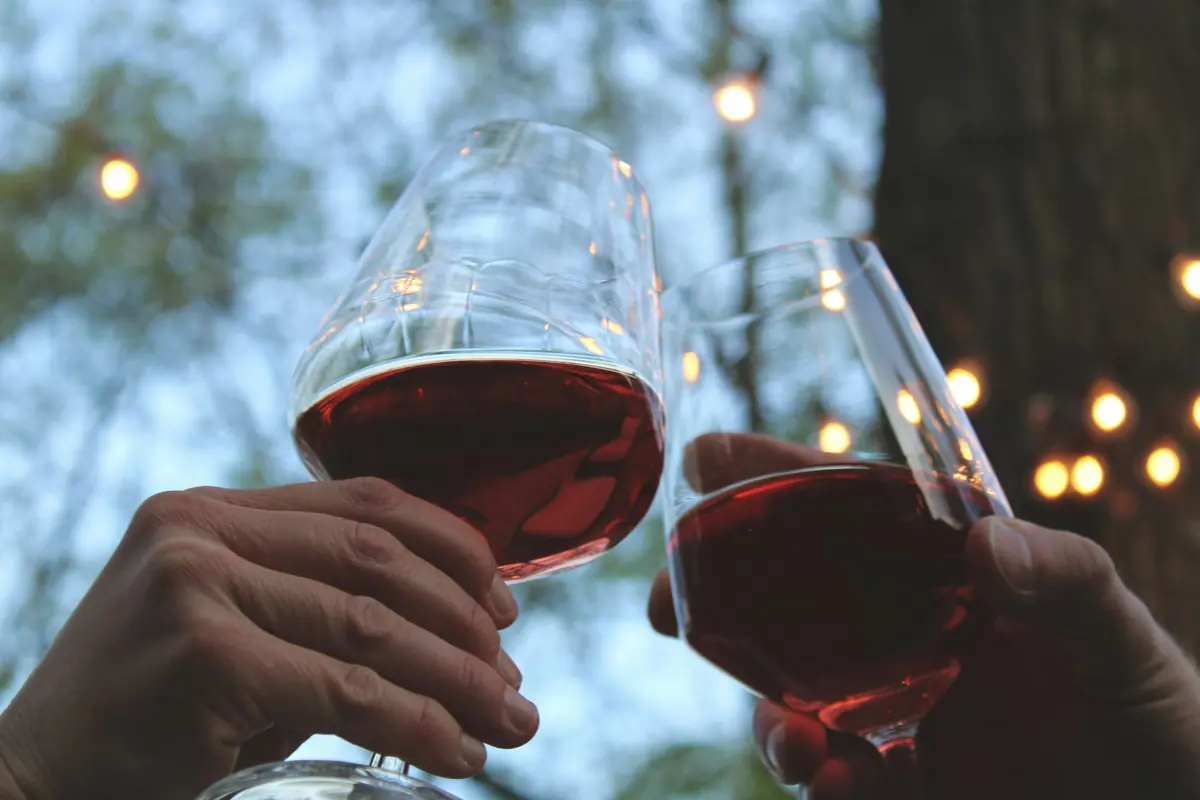 Autumn Wine Tasting — Il diVino Wijnen Hilversum, Hilversum