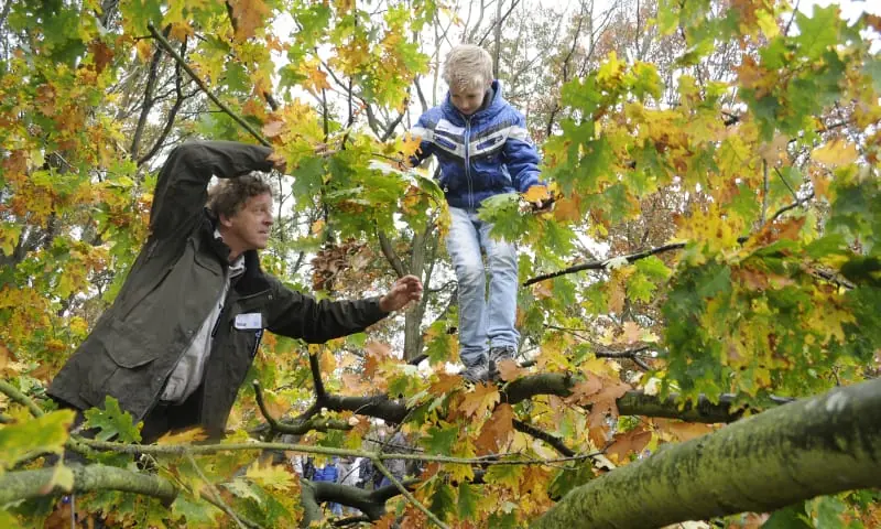 Herbstwald-Streifzug (4+) — Bezoekerscentrum Gooi en Vechtstreek, 's-Graveland
