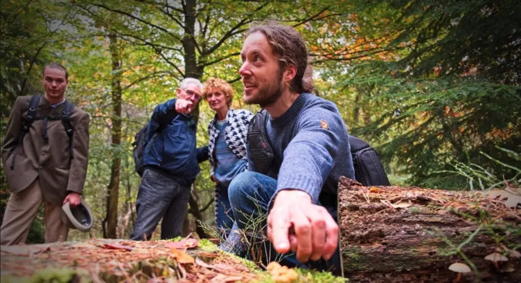 Essbare Pilze sammeln — Buitenplaats De Hoorneboeg, Hilversum