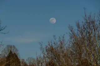 Moon Circle with Bahar Shahi