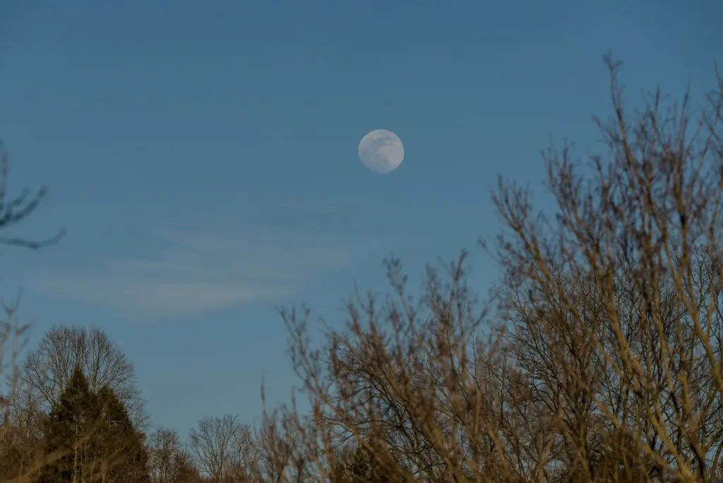 Moon Circle with Bahar Shahi β Buitenplaats De Hoorneboeg, Hilversum