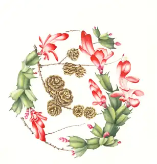 Botanical drawing: Christmas card