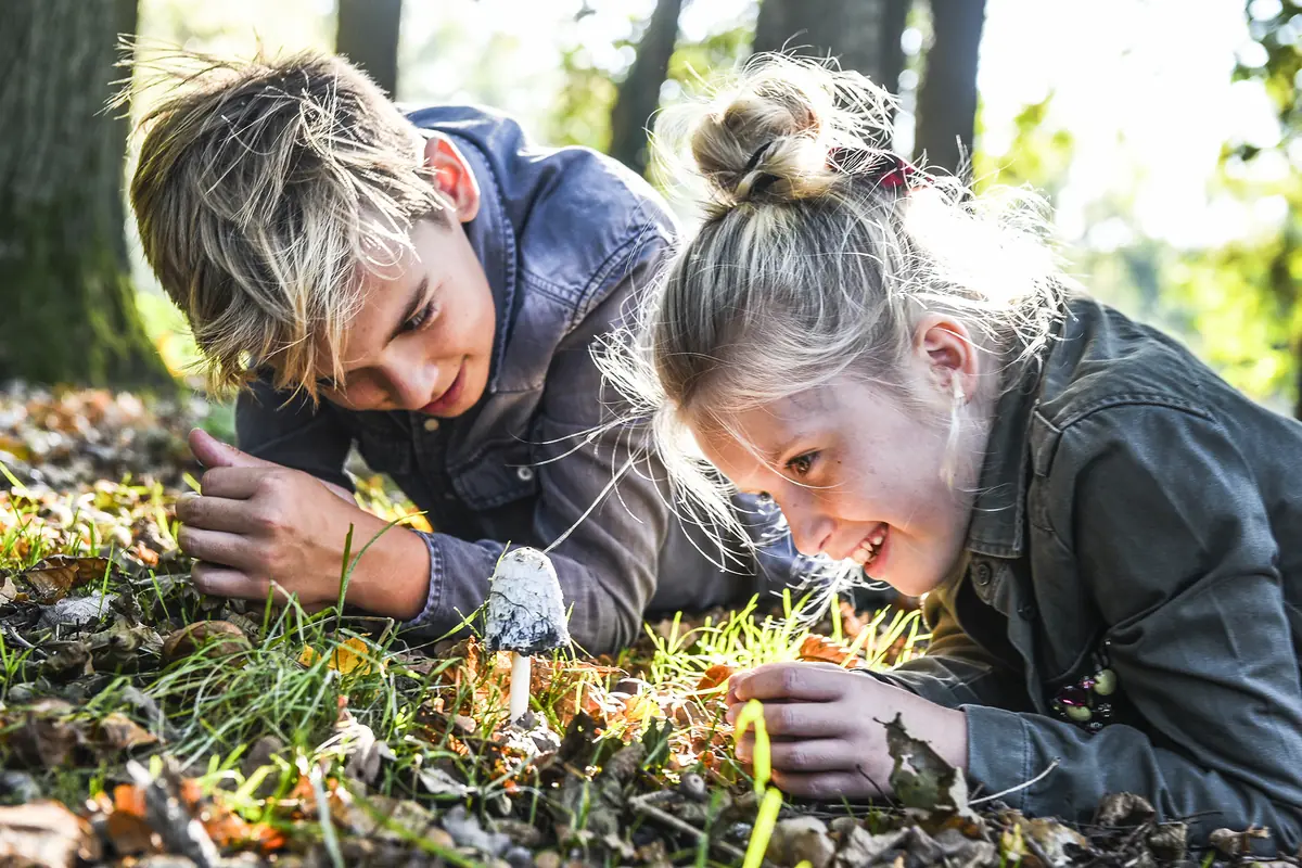 Naturwanderung für Kinder im Amerongse Bos — Tabaksschuur Amerongen, Amerongen