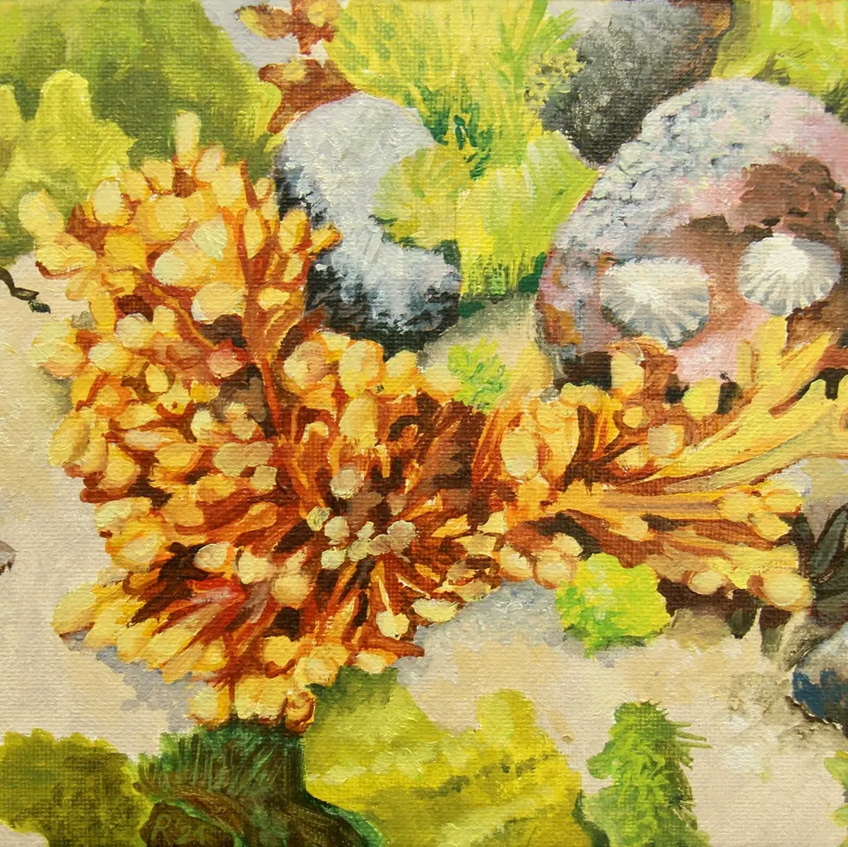 Exhibition: Where the Sea Meets the Land — De Nieuwe Bibliotheek Haven, Almere