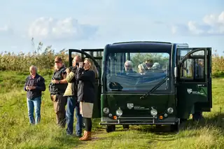 Ecokar excursie Oostvaardersplassen Almere