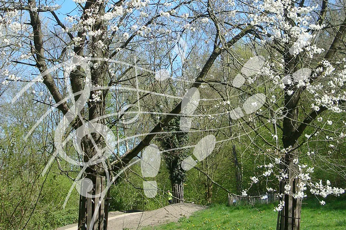 Musikwanderung Park Uithof, Almere — Goede Rede Concerten, Almere