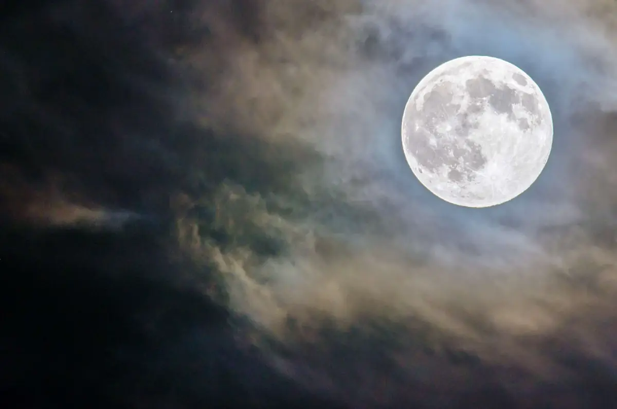 Halloween Spookwanderung — Outdoorpark SEC Almere, Almere