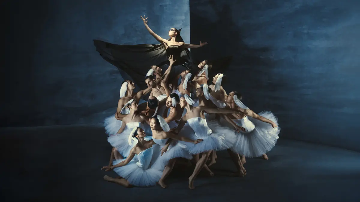 Swan Lake (6-99 jaar) — Kunstlinie, Almere