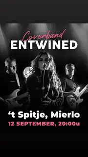 Kermis mit Entwined im 't Spitje