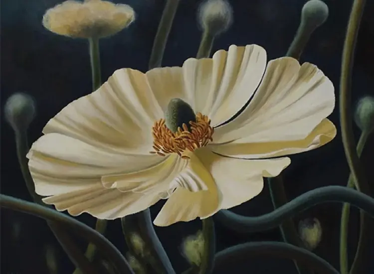 Expo Van Overbeek and Vorst — Kasteel Geldrop, Geldrop