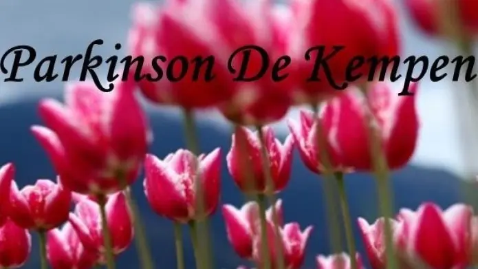Thema bijeenkomst Parkinson De Kempen — D'n Aachterum, Reusel