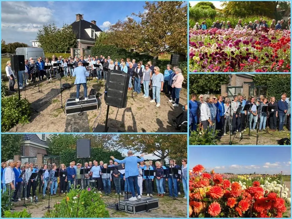 Popcore all sounds — De Tulperij, Voorhout