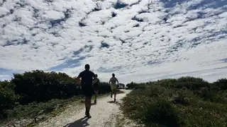 Hollands Duin Trail - Herbst