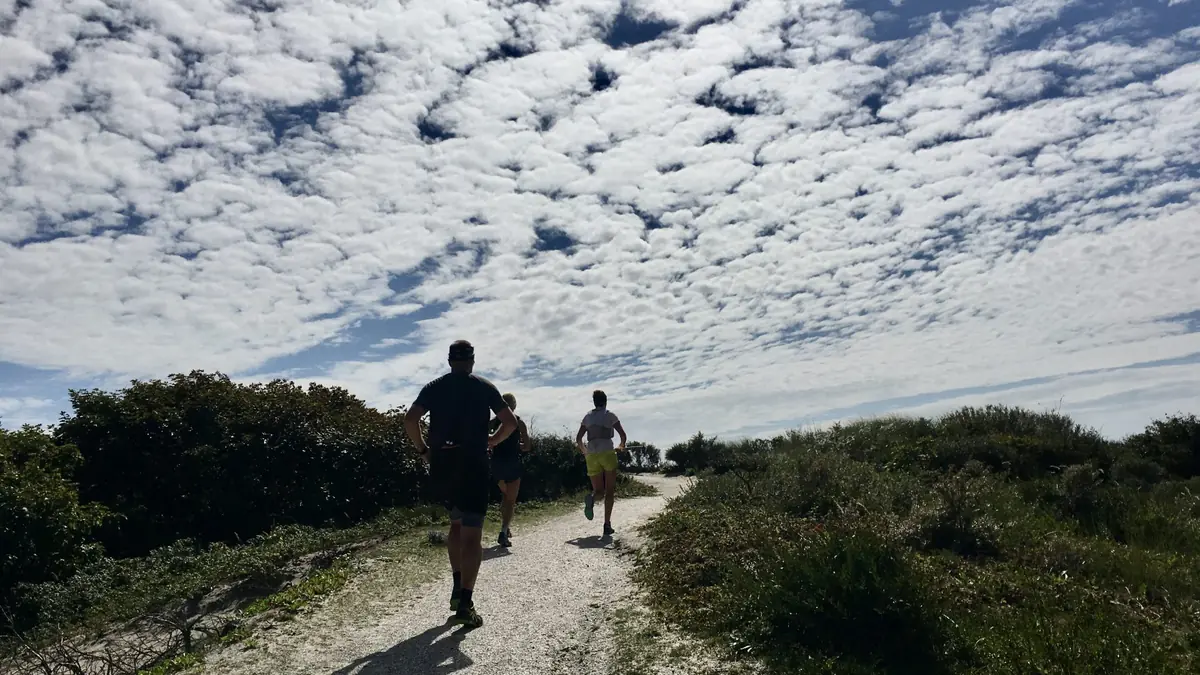 Hollands Duin Trail - Autumn — Strandplaats Nederzandt, Noordwijk