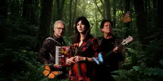 Verdronken Vlinder - A Tribute to Boudewijn de Groot and Lennaert Nijgh